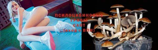 гидра Абдулино