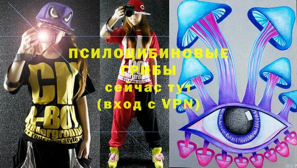 амф Абинск
