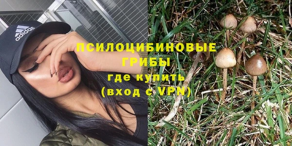 амф Абинск